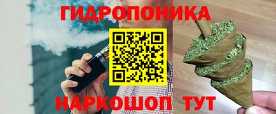 мдпв Гагарин