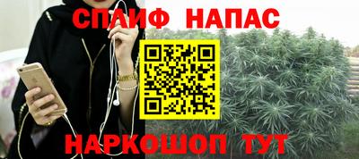 мдпв Гагарин